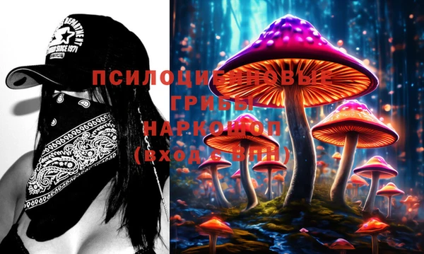 наркотики Новозыбков