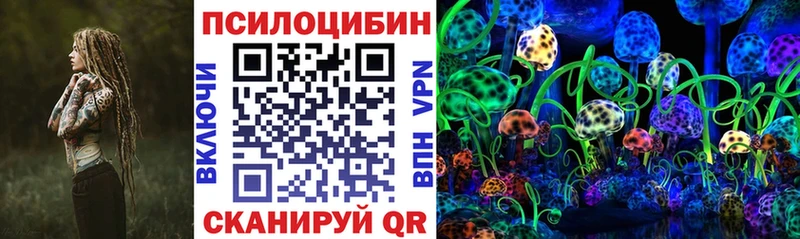 OMG зеркало  Таштагол  Галлюциногенные грибы Magic Shrooms  купить  